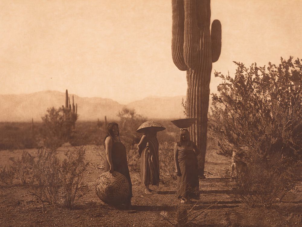 Saguaro Fruit Gatherers - Maricopa 1907 art print by Edward S Curtis for $57.95 CAD