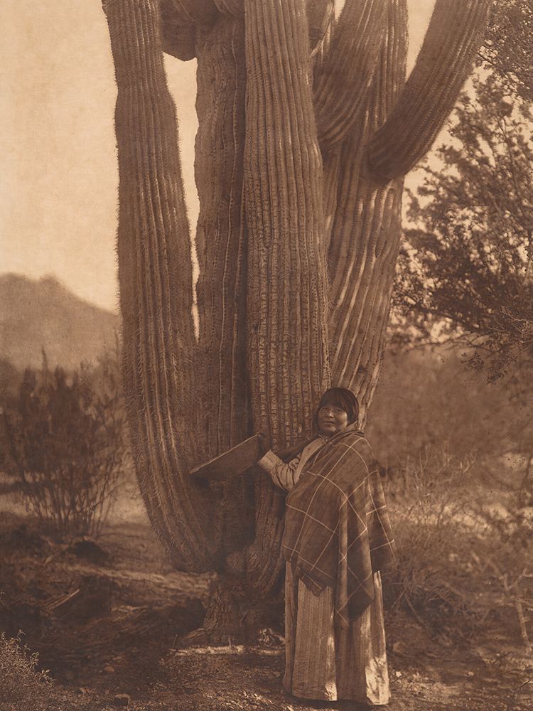 The Pima Woman 1907 art print by Edward S Curtis for $57.95 CAD