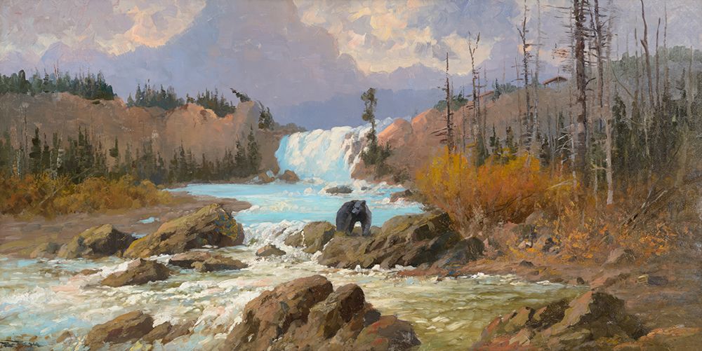 Bear at Swift Current Falls art print by John Fery for $57.95 CAD