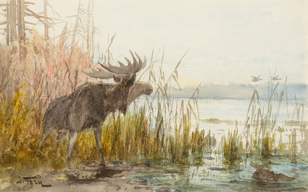 Moose Lake McDonald art print by John Fery for $57.95 CAD
