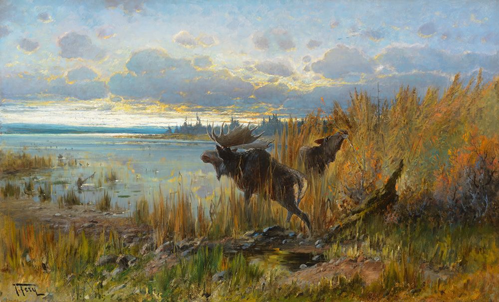 Moose on Northern Montana Lake art print by John Fery for $57.95 CAD