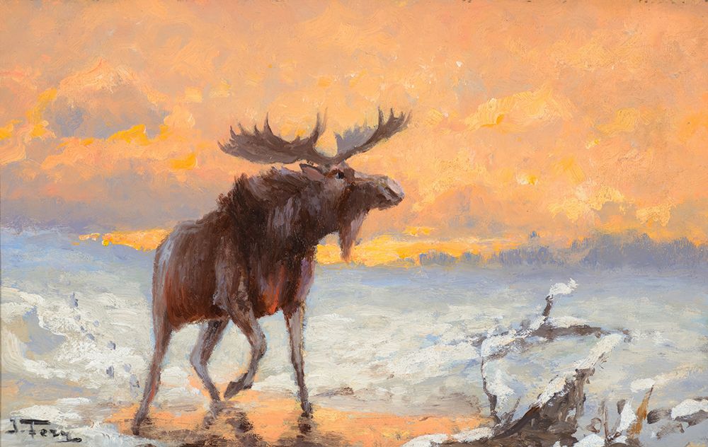 Twilight Moose art print by John Fery for $57.95 CAD