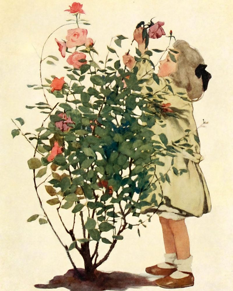 Dream Blocks 1908 - Tending the Roses art print by Jessie Willcox Smith for $57.95 CAD