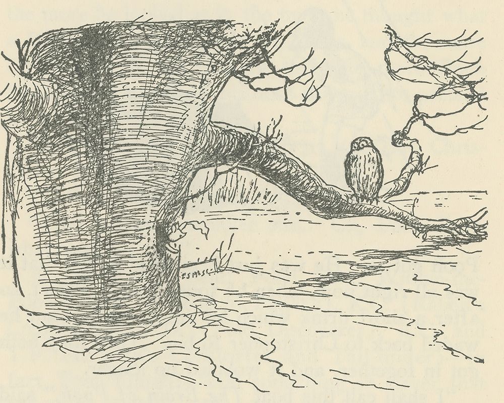 Winnie-the-Pooh 1926 - Owl Sat on a Branch art print by Ernest H Shepard for $57.95 CAD