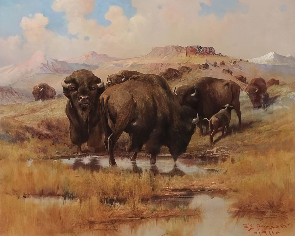 Buffalo at a Watering Hole 1913 art print by Edgar Samuel Paxson for $57.95 CAD