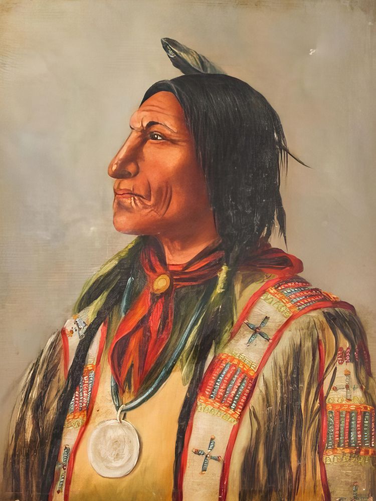 Indian Chief Portrait art print by Charles Schreyvogel for $57.95 CAD