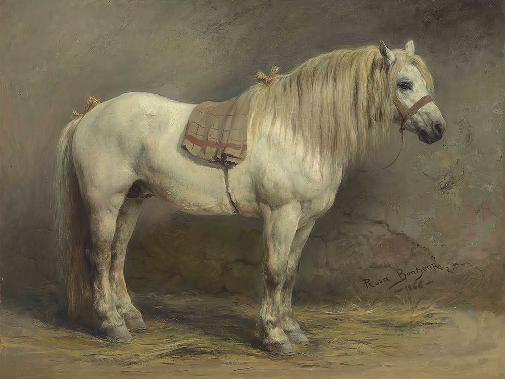 A White Horse 1866 art print by Rosa Bonheur for $57.95 CAD