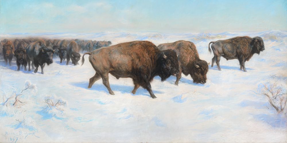 Bison in the Snow art print by Rosa Bonheur for $57.95 CAD