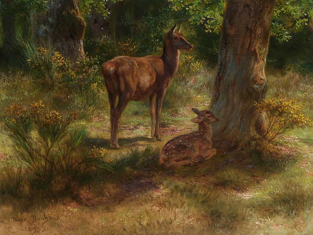 Deer in the Woods art print by Rosa Bonheur for $57.95 CAD