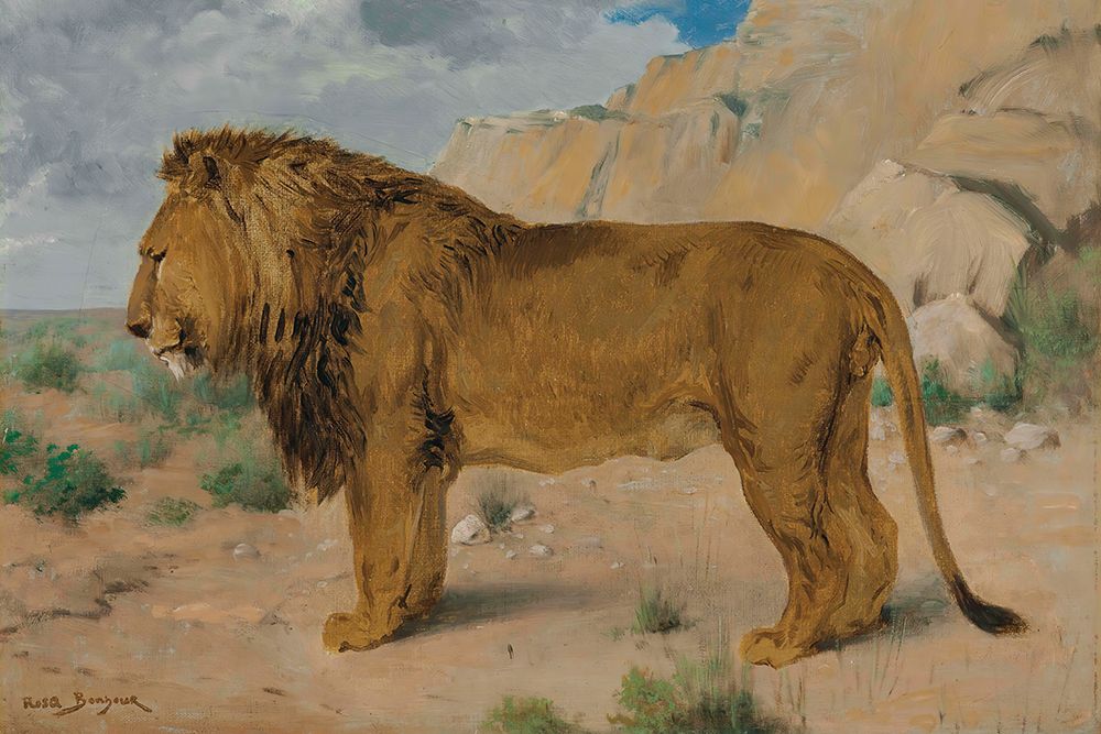 Study of a Lion art print by Rosa Bonheur for $57.95 CAD