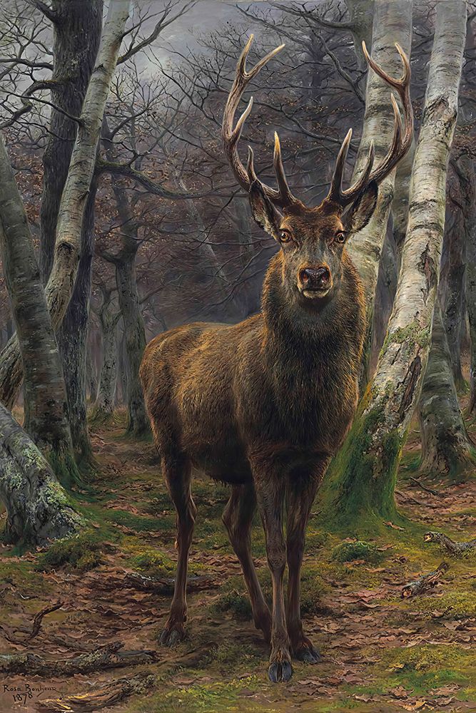 The King of the Forest 1878 art print by Rosa Bonheur for $57.95 CAD