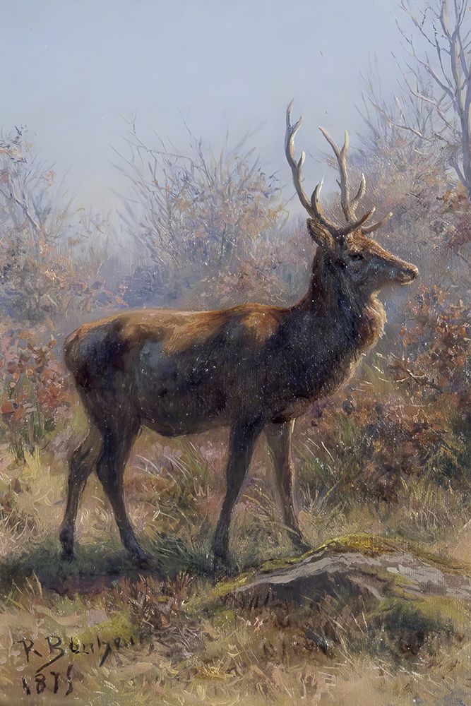 The Stag 1899 art print by Rosa Bonheur for $57.95 CAD