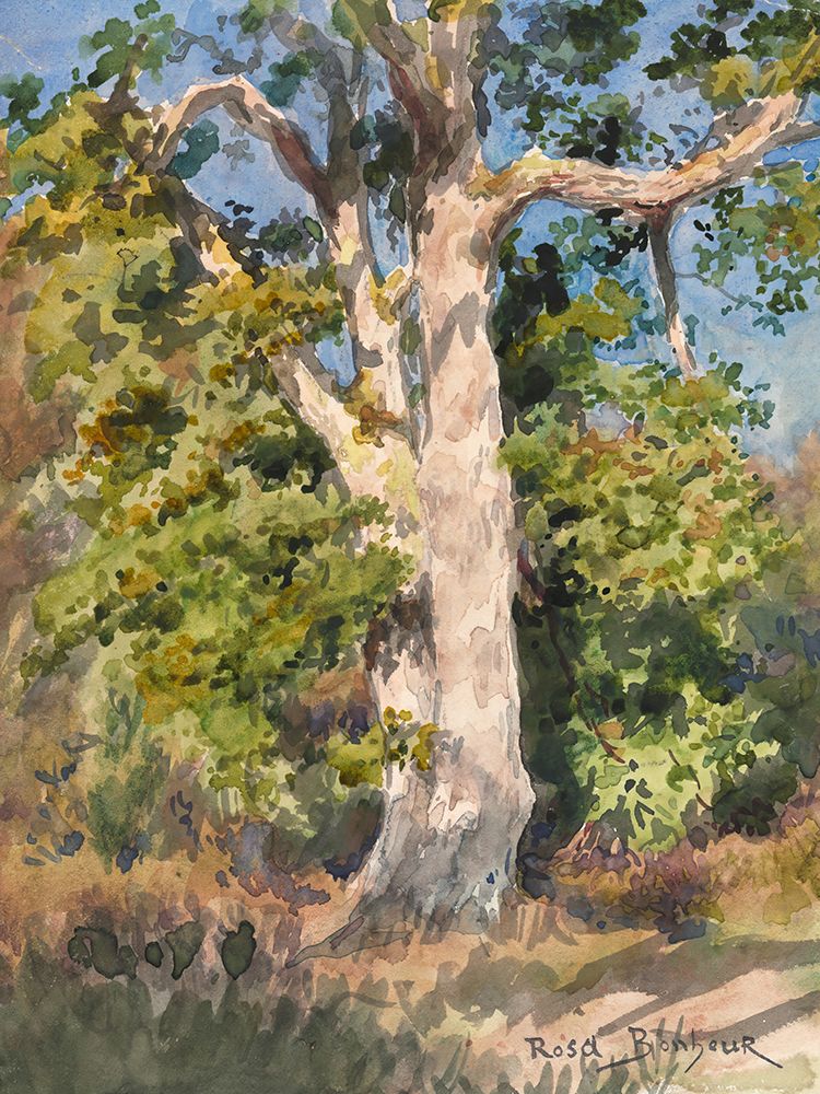 Tree Study art print by Rosa Bonheur for $57.95 CAD