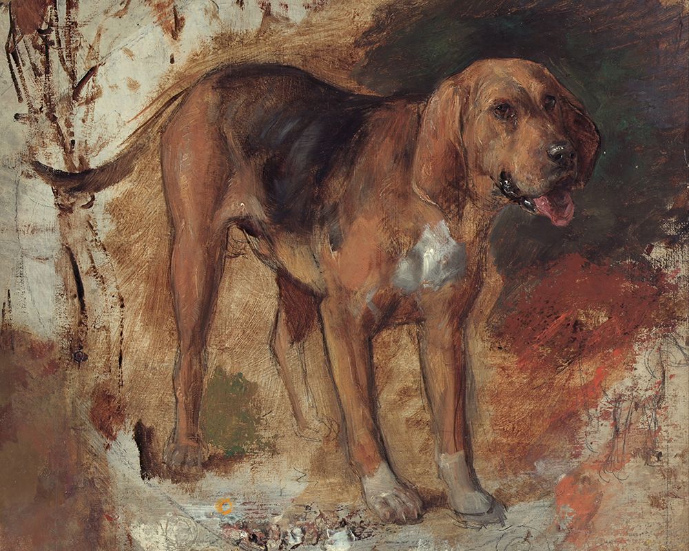 Study of a Bloodhound 1848 art print by William Holman Hunt for $57.95 CAD