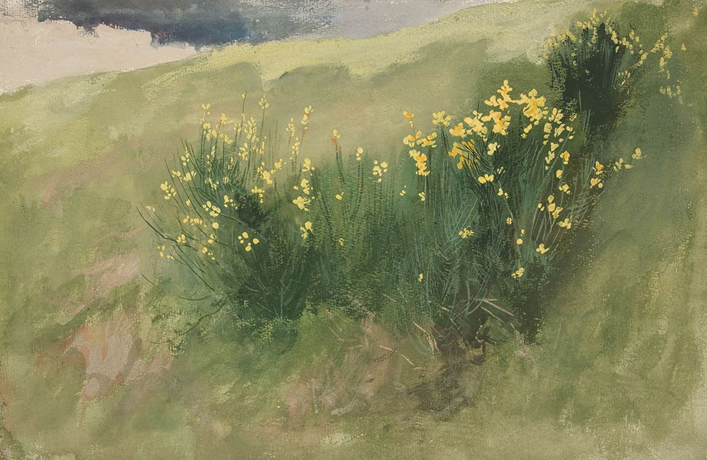 Landscape with wildflowers art print by Edwin Austin Abbey for $57.95 CAD