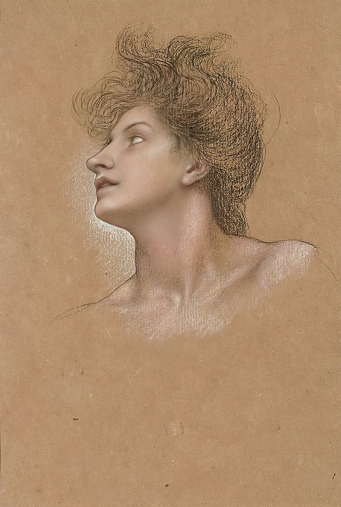 Study of a womans head art print by Evelyn De Morgan for $57.95 CAD