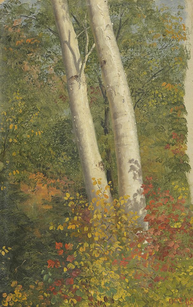 Birch Trees in Autumn 1865 art print by Frederic Edwin Church for $57.95 CAD