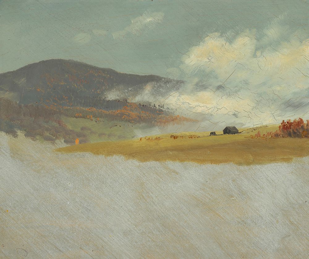 Hilly Landscapes 1865 art print by Frederic Edwin Church for $57.95 CAD