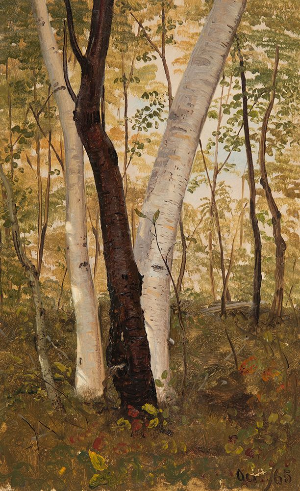 In the Woods, Hudson, New York 1865 art print by Frederic Edwin Church for $57.95 CAD