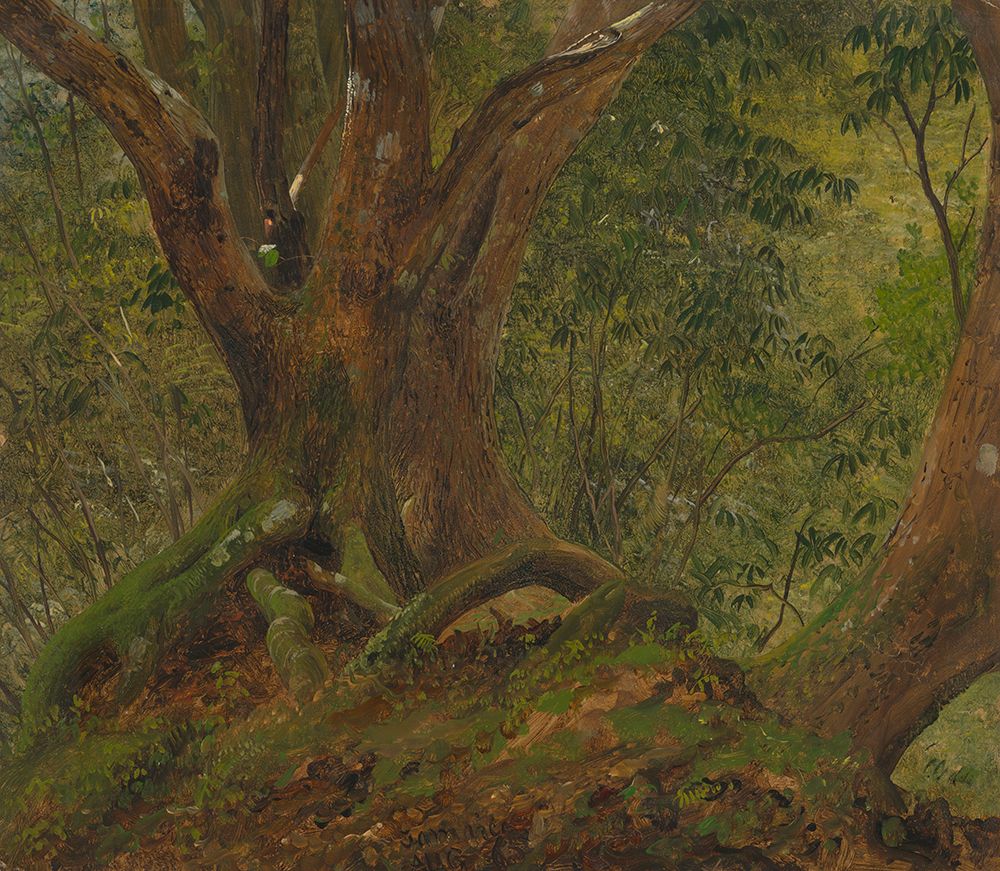 In the woods, Jamaica 1865 art print by Frederic Edwin Church for $57.95 CAD