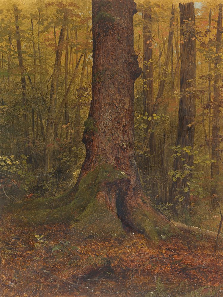 In the Woods, probably Maine 1850 art print by Frederic Edwin Church for $57.95 CAD