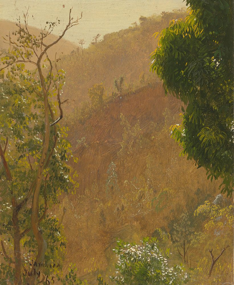 Landscape IV 1865 art print by Frederic Edwin Church for $57.95 CAD