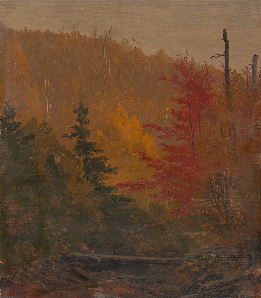 Probably near Katahdin, autumn 1865 art print by Frederic Edwin Church for $57.95 CAD