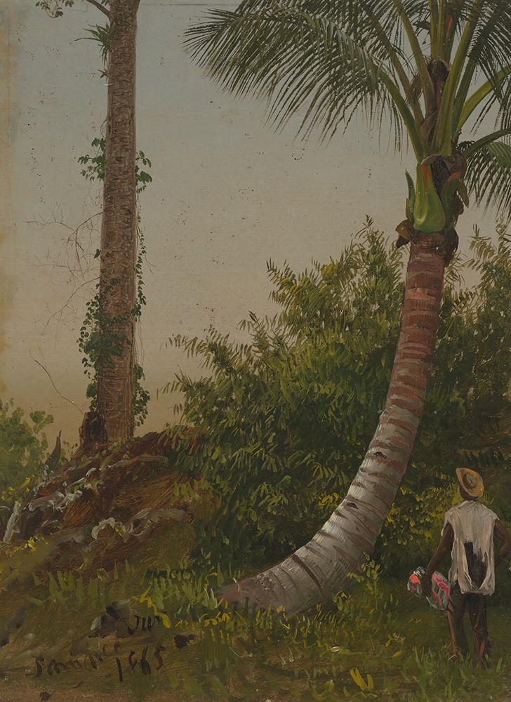 Trees in Jamaica, West Indies 1865 art print by Frederic Edwin Church for $57.95 CAD