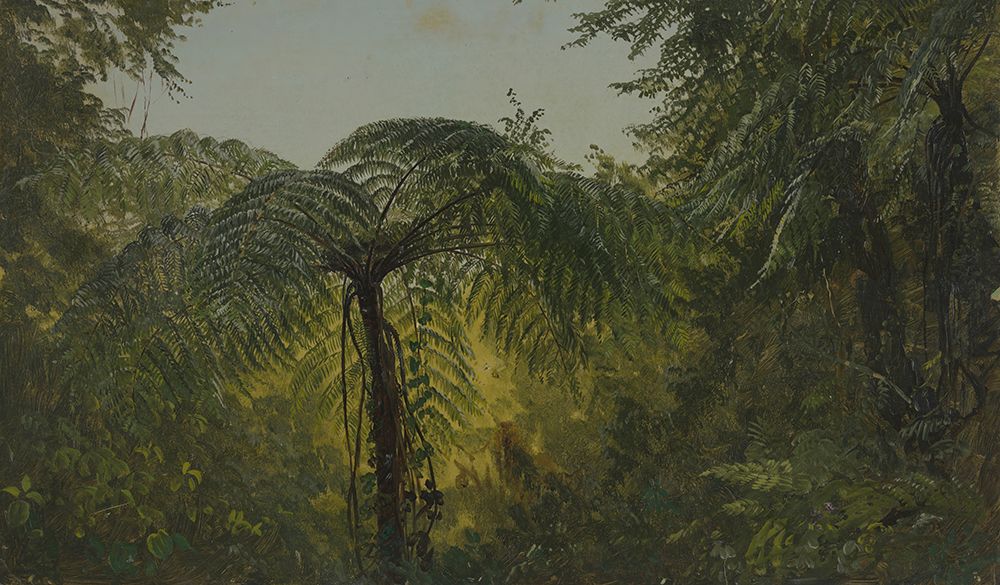 Tropical Landscape July 1865 art print by Frederic Edwin Church for $57.95 CAD