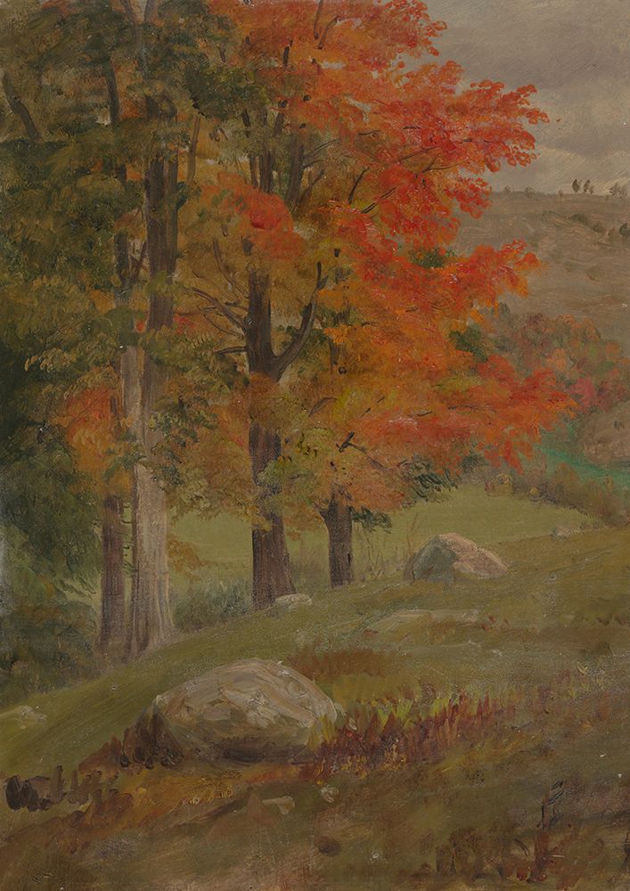 Woods in autumn 1865 art print by Frederic Edwin Church for $57.95 CAD