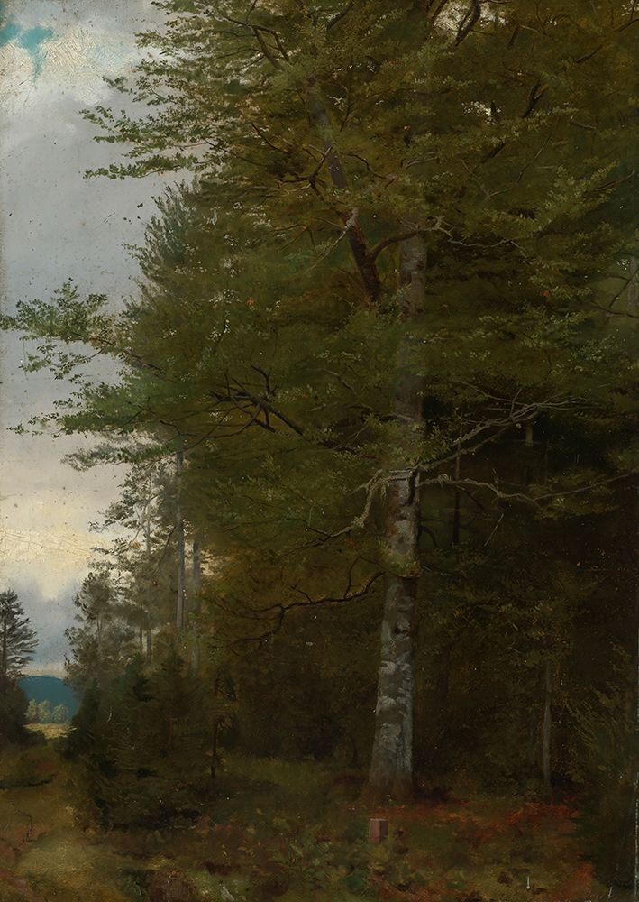 Beech at the edge of the forest 1861 art print by Hans Thoma for $57.95 CAD