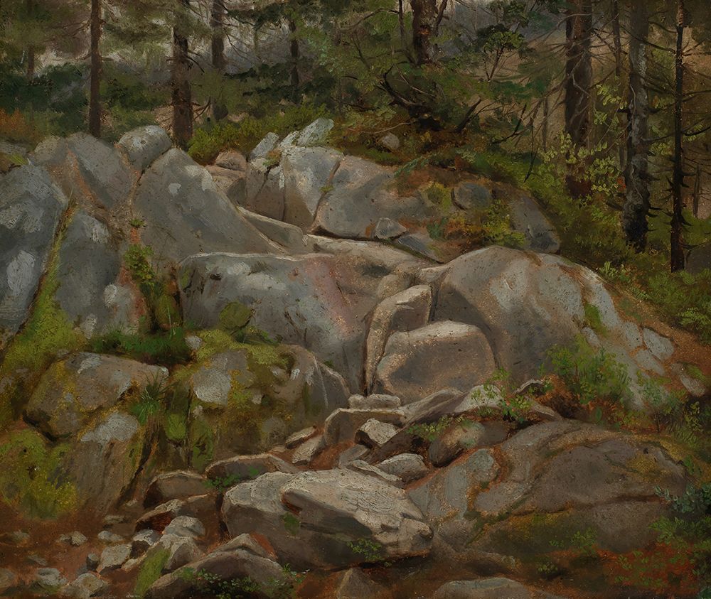 Boulders with fir trees 1861 art print by Hans Thoma for $57.95 CAD