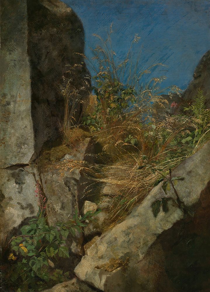 Grasses between rocks 1863 art print by Hans Thoma for $57.95 CAD