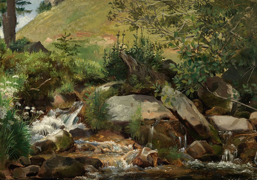 Meadow stream with bushes and grasses art print by Hans Thoma for $57.95 CAD
