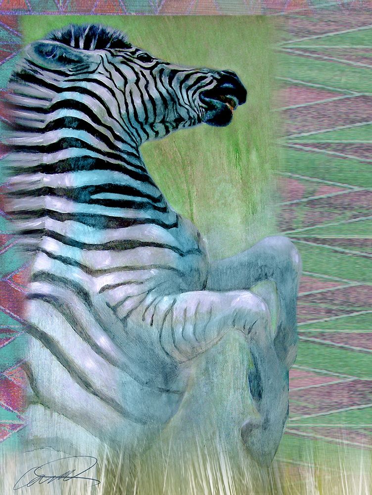 Zebra Zest art print by Robert Campbell for $57.95 CAD