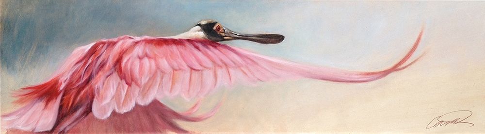 Wingspread Spoonbill art print by Robert Campbell for $57.95 CAD