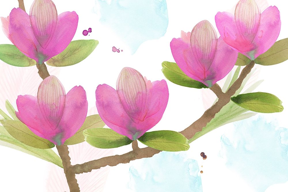 Pink Magnolia I art print by Flora Kouta for $57.95 CAD