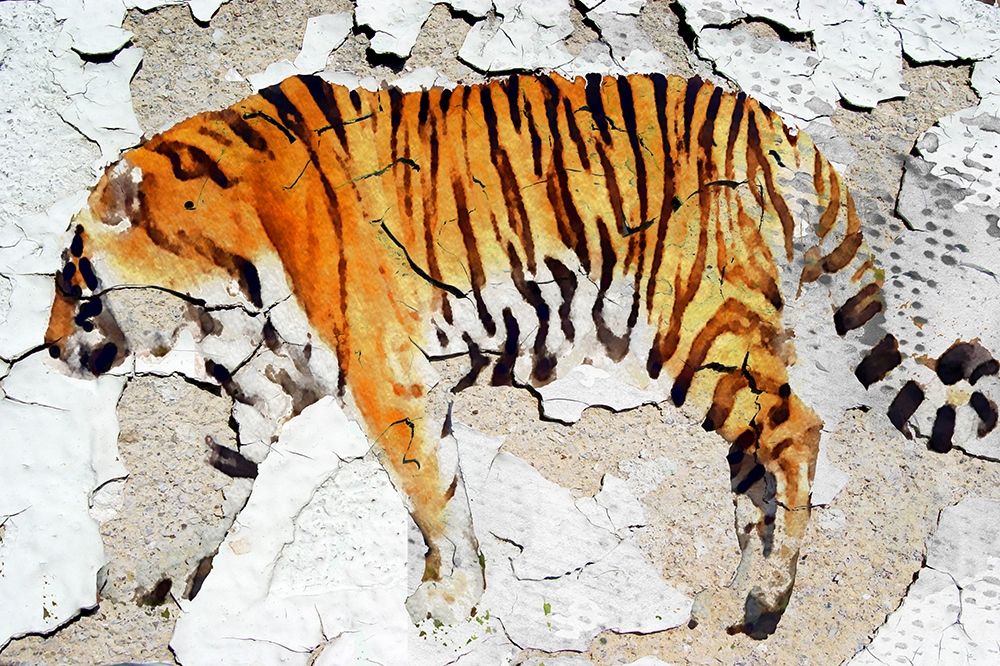 Siberian Tiger art print by Irena Orlov for $57.95 CAD