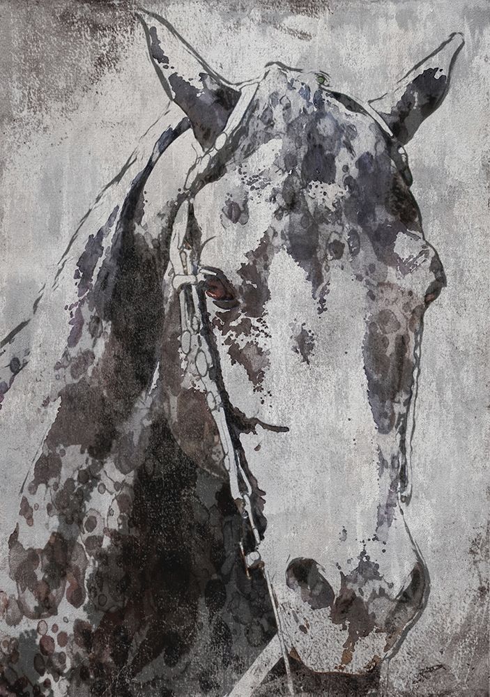 Morgan Horse- Black Beauty art print by Irena Orlov for $57.95 CAD