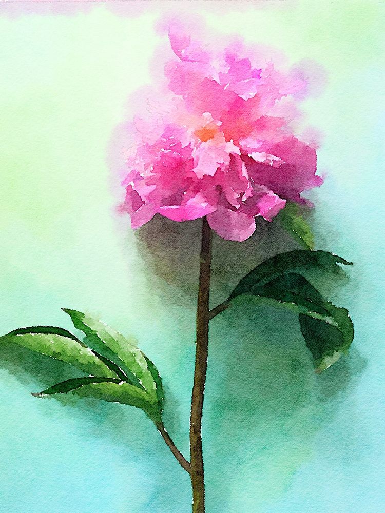 Pink Watercolor Peony I art print by Irena Orlov for $57.95 CAD