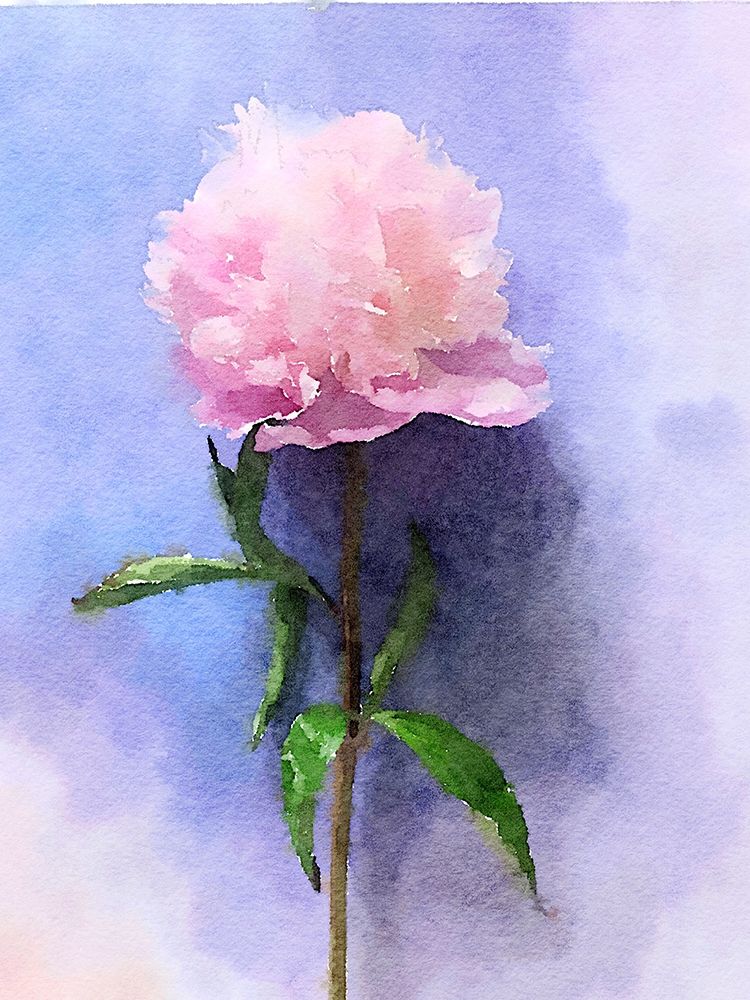 Pink Watercolor Peony II art print by Irena Orlov for $57.95 CAD