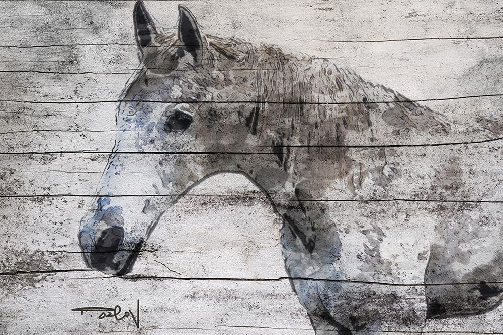 Gray Horse art print by Irena Orlov for $57.95 CAD