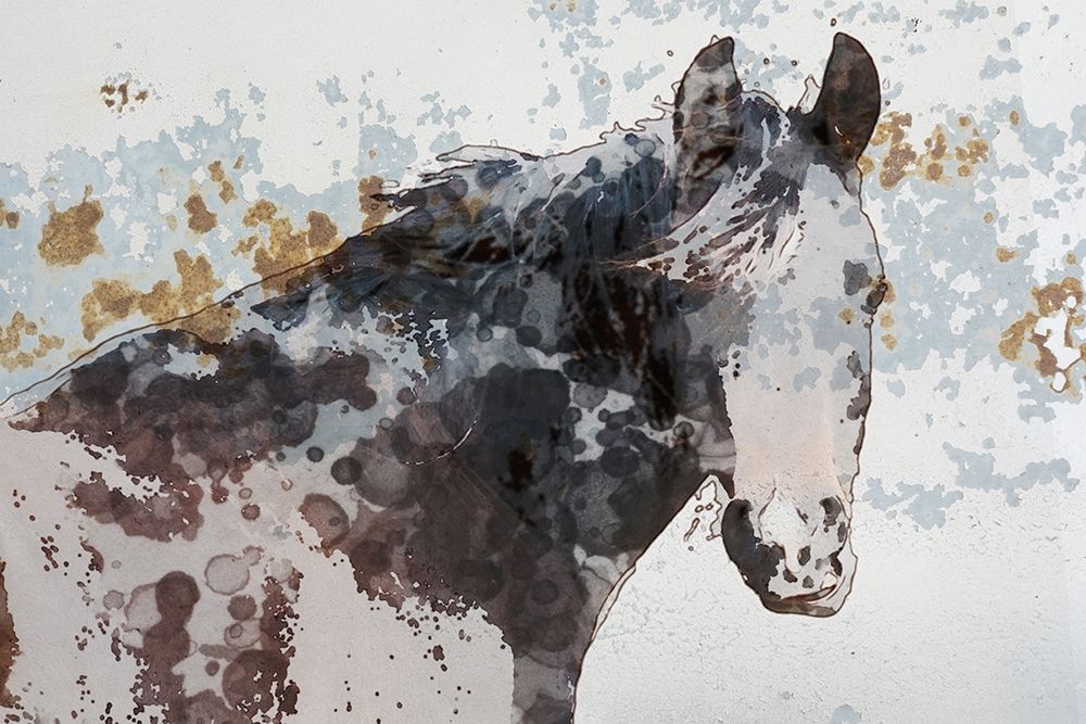 American Paint Horse art print by Irena Orlov for $57.95 CAD