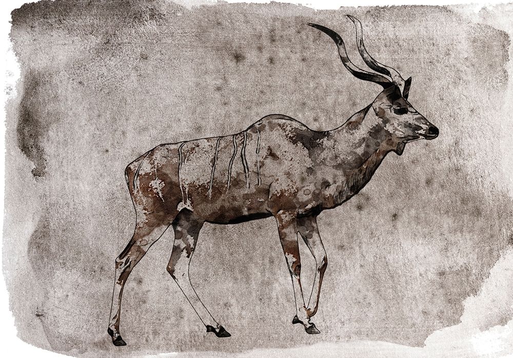 Kudu art print by Irena Orlov for $57.95 CAD
