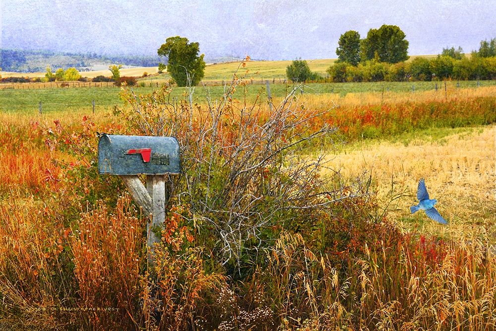 Ranch Mailbox art print by Christopher Vest for $57.95 CAD