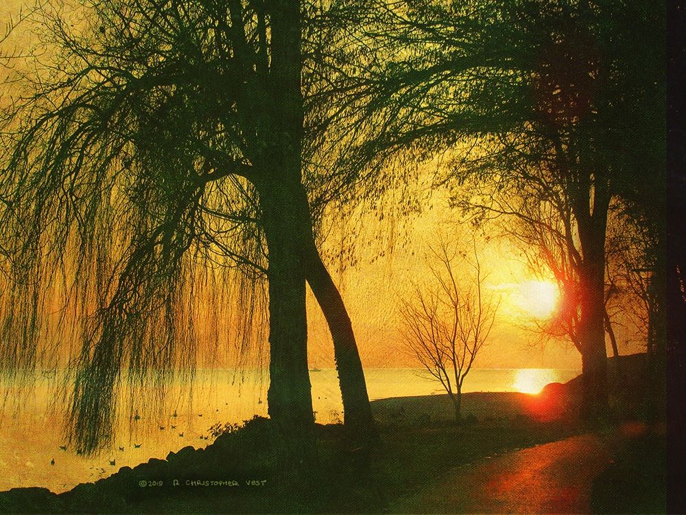 Weeping Willows Lac Leman art print by Christopher Vest for $57.95 CAD