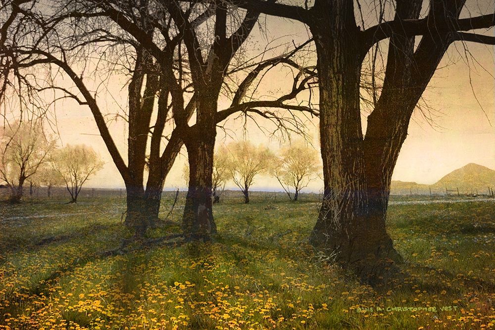 Meadow Dandelions Trees art print by Christopher Vest for $57.95 CAD