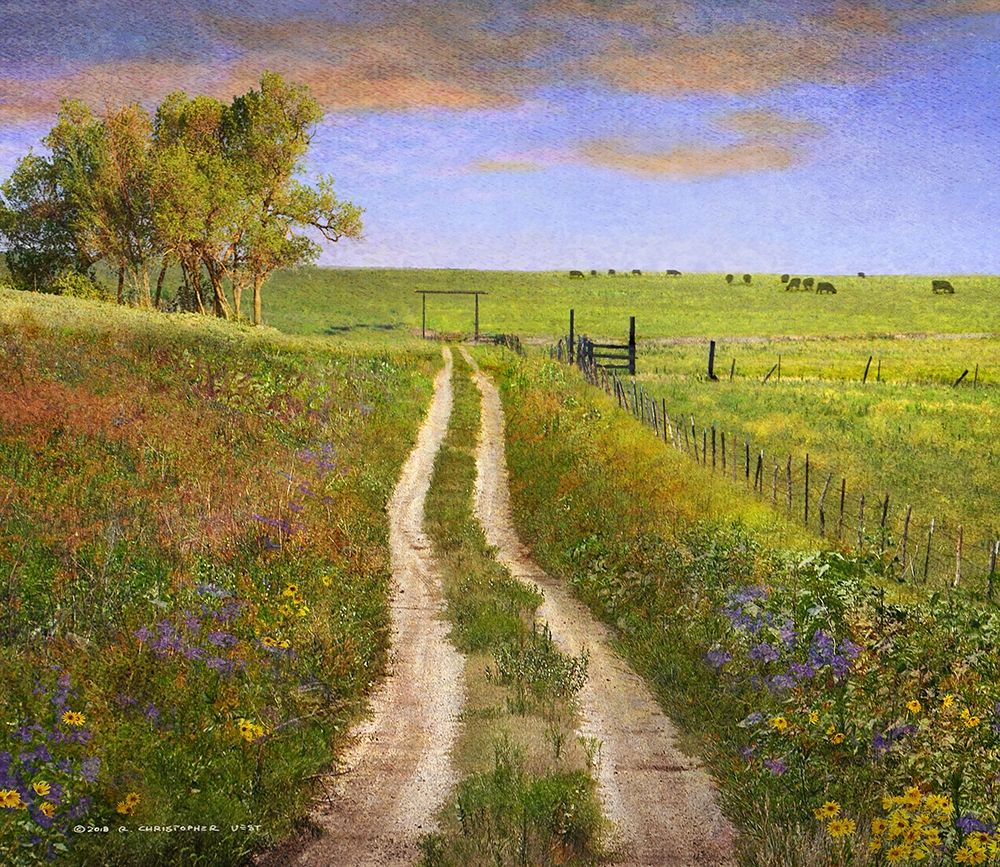 Road and Cows Kansas art print by Christopher Vest for $57.95 CAD