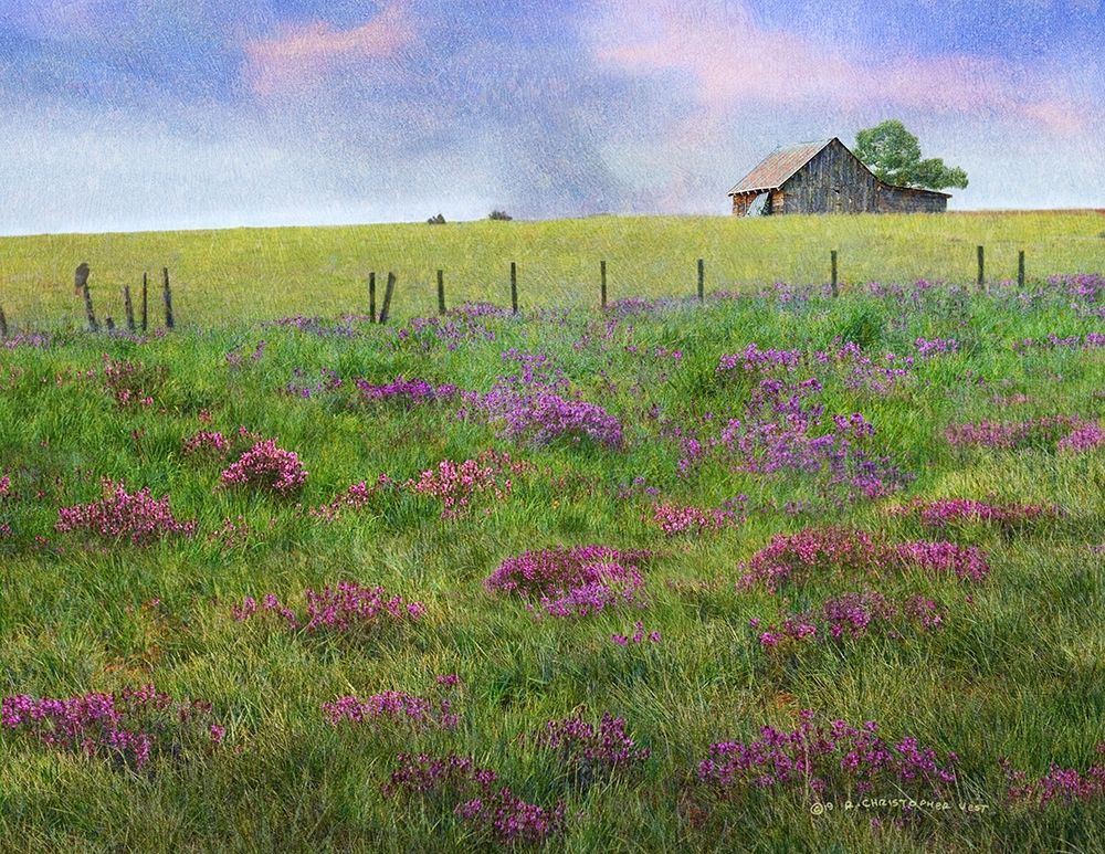 Barn Locoweed art print by Christopher Vest for $57.95 CAD