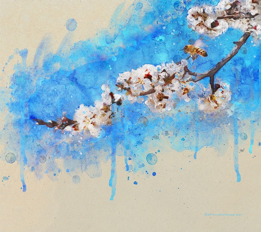 Apricot Blossom art print by Christopher Vest for $57.95 CAD